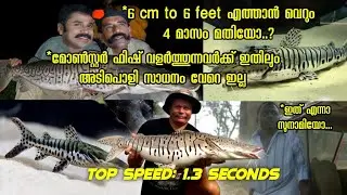 Tigershavelnose feading video 😮😮