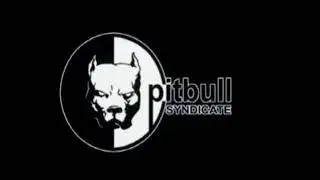 Infogrames/Pitbull Syndicate (1999)