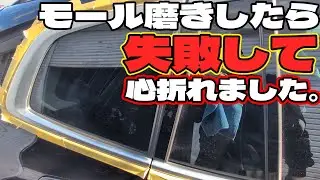 BMWのモール磨きしたら失敗して心が折れたゾ