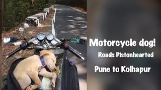 ROADTRIP with MY DOG| Roads PistonHearted | Pune to Kolhapur