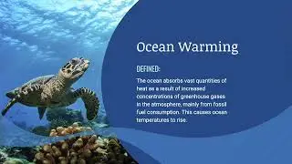 The future of seafood in a changed ocean
