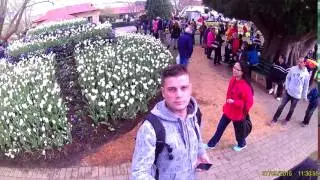 Coen Australia 2015 Tulpenmarkt