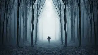 Melodic Techno 2026 mix I have walked on lonely path in the dark night Albert Dj