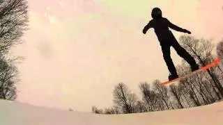 adam schommer