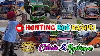 HUNTING BUS BASURI #busmania #basuri #telolet #buspariwisata #huntingbus #bustelolet #basurimania