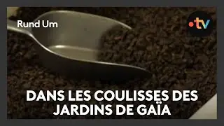 Découverte des Jardins de Gaïa, une entreprise qui travaille avec 35 planteurs de thé équitable