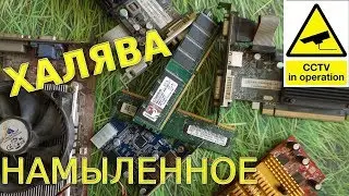НАМЫЛЕННОЕ 8 // Видеокарты HD 4670 + HD 5450 +FX 5200 + USB 3 0 Контроллер + Мозги DDR 1 2 на ХАЛЯВУ