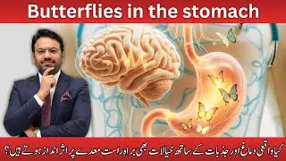 Anxiety, Stress & Butterflies in the Stomach | Dr Muhammad Ahmad #Anxiety #stress