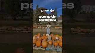 Apple Picking en Nueva York en Harvest Moon Farm & Orchad #fallinnyc #applepicking #fallvibes
