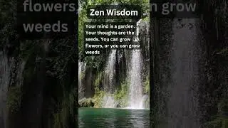 Zen Wisdom 6