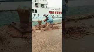 Hardest-working dog at the dock Watch how this mooring pup helps his crew secure the line like a pro