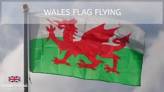 Wales Flag Flying 🏴󠁧󠁢󠁷󠁬󠁳󠁿