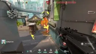 ace showcase