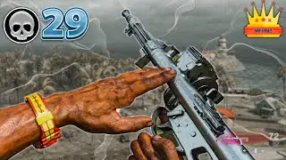 Call of Duty:Warzone Solo Win 29Kill Gameplay Owen Gun No Commentary