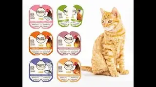 Cat food plastic tray filling and sealing package machine