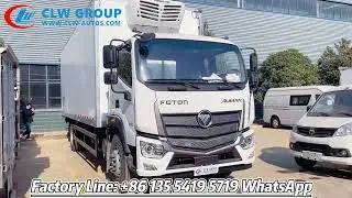 FOTON Auman 10 Tons Refrigerator Truck with Thermo King Freezer