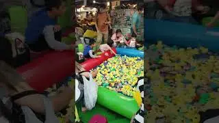 Taipei Expo - Farmers Market