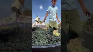 Mint Juice Making Process In Village