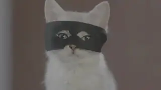 Don't get separated from your cat, get DU Battery Saver.