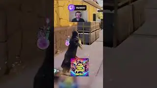 Bam Bam