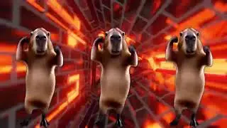 Capybara Dancing (Full Version)