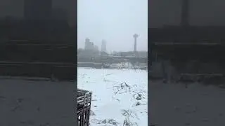 Frozen Niagara River on Feb 20, 2025