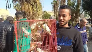 ثالث فيديو من سوق الجمعة الناس اشترت عصافير ايه وبكام⁉️وأسعار العصافير بأرقام اصحابها من داخل السوق💚