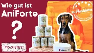 ANIFORTE Hundefutter Test [Erfahrungen mit AniForte Nassfutter]