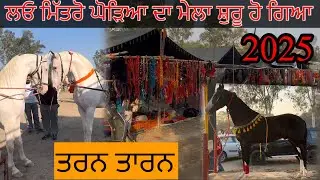 ਘੋੜਿਆ ਦੀ ਮੰਡੀ ਤਰਨ ਤਾਰਨ 2025 Horse Mandi Tarn Taran 2025 | Horse Mela Tarn Taran 2025