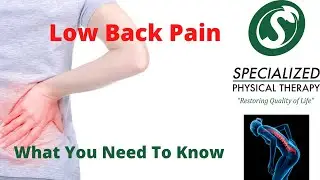 Low Back Pain: What You Need To Know - Specialized Physical Therapy