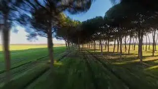 A1Antigravity in coltano