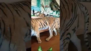 Tiger Statue🐅🐅 #veryunique #youtubeshorts #animals #tiger #scary #shorts