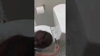 Cleaning Tech Bootcamp - Toilets