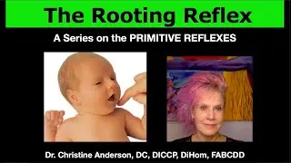 The Rooting Reflex: A Series on the Primitive Reflexes