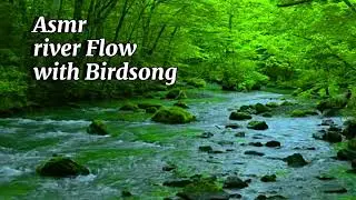Symphony of Nature | Relaxing River, Lush Forest & Melodic Birdsong