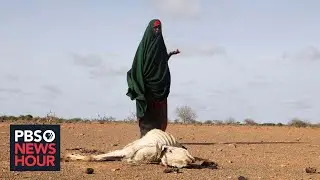 Famine propelled by conflict and climate change threatens millions in Somalia