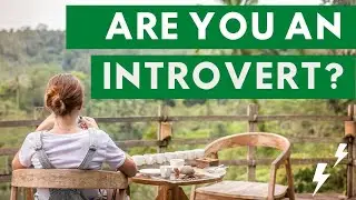 Introvert or Extrovert? / 10 Qualities That Define You