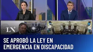Sesión caliente en el Senado: se aprobó la ley de emergencia en discapacidad