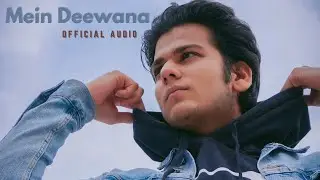 MEIN DEEWANA (OFFICIAL AUDIO) | D-PSYCHO | JERRY MARTIN |