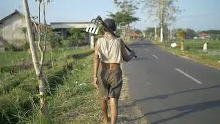 Cinematic petani | Sawah Pedesaan | Background Music