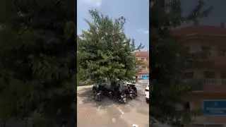 Dr. S.S Tantia Medica College and Hospital,Ganga Nagar Rajasthan