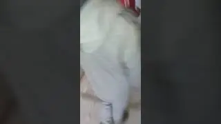 как вы думаете кто это?