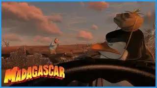 DreamWorks Madagascar | Operation Tourist Trap | Madagascar: Escape 2 Africa Movie Clip
