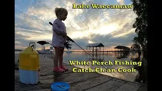 Best Way To Catch White Perch! Lake Waccamaw (Catch Cook Clean)