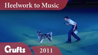 Heelwork to Music - International Freestyle Winner 2011 | Crufts Crufts