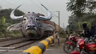 Dangerous Buffalo Head Intercity Express Furious Skip at Railgate! 😱