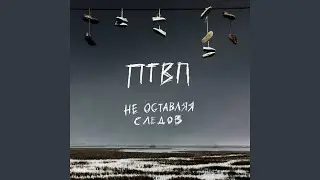 Не оставляя следов