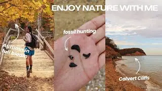 join me on a soothing autumn hike | Chesapeake Bay, fossil hunting, lets chat