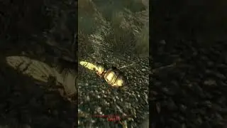 Bloatfly Facts