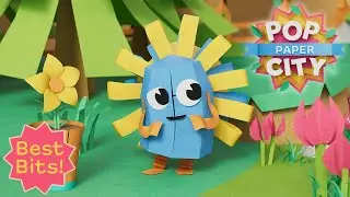 🐸 Frog Pond ✂️ Best Bits from Pop Paper City